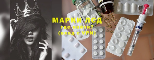 гашик Верея