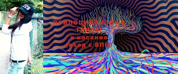 хмурый Ахтубинск