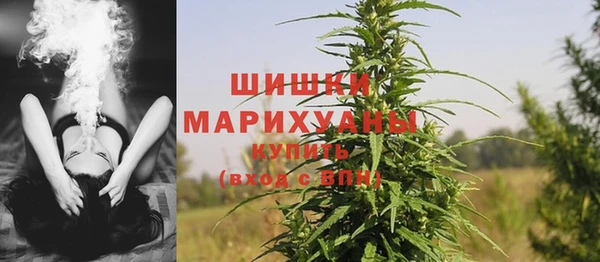 гашик Верея