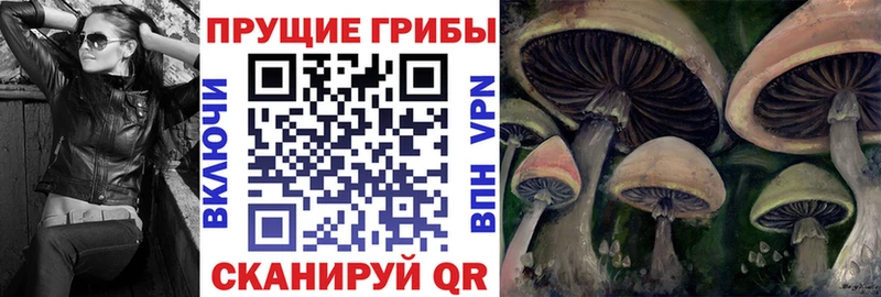 сколько стоит  Волосово  кракен ССЫЛКА  Галлюциногенные грибы GOLDEN TEACHER 